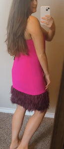Size 12 Trina Turk NWT Feather Dress