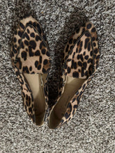 Load image into Gallery viewer, Size 8 Time &amp; Tru Pointy Toe Leopard Flats
