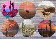 Boho Western Cactus Grab Bag Cardstock For Car Freshies