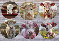 Western Cow Cardstock For Car Freshies