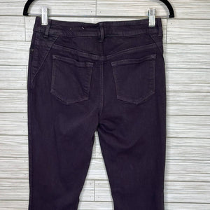 Size 2 Chicos Dark Purple Denim Jeggings Skinny Jeans